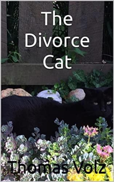 Divorce Cat