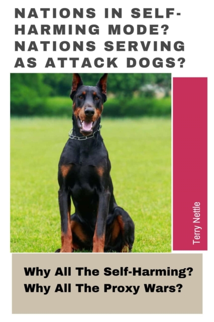 Nations In Self-Harming Mode? Nations Serving As Attack Dogs?: Why All The Self-Harming? Why All The Proxy Wars?