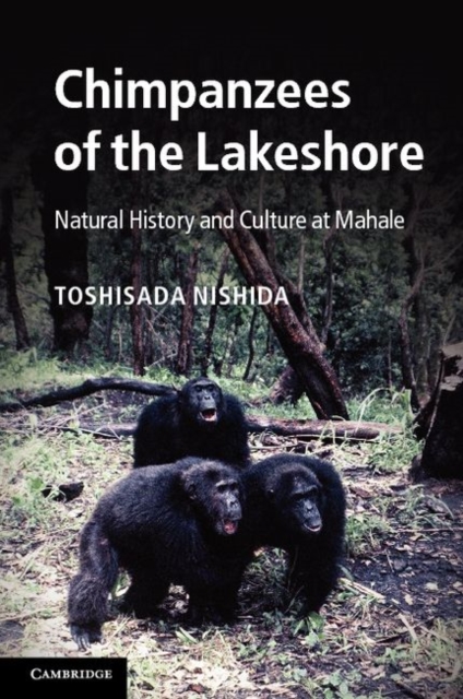 Chimpanzees of the Lakeshore