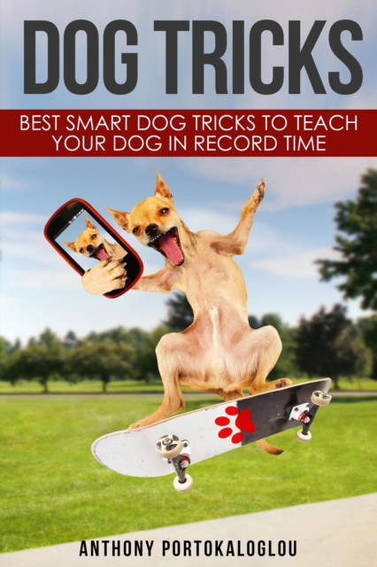Dog Tricks: Best Smart Dog Tricks to Teach Your Dog in Record Time