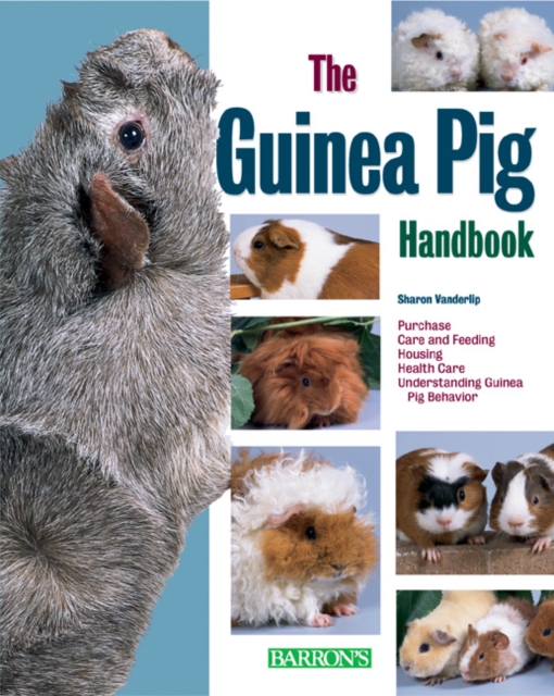 Guinea Pig Handbook