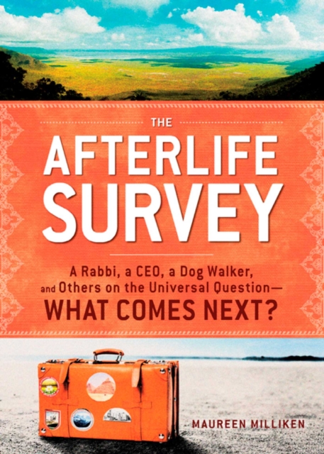 Afterlife Survey