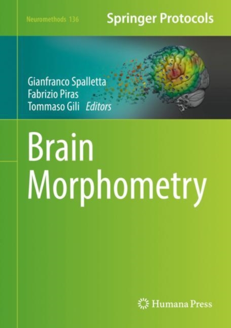 Brain Morphometry