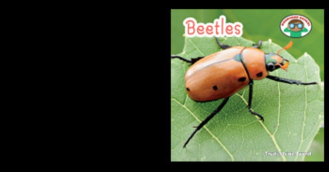 Beetles