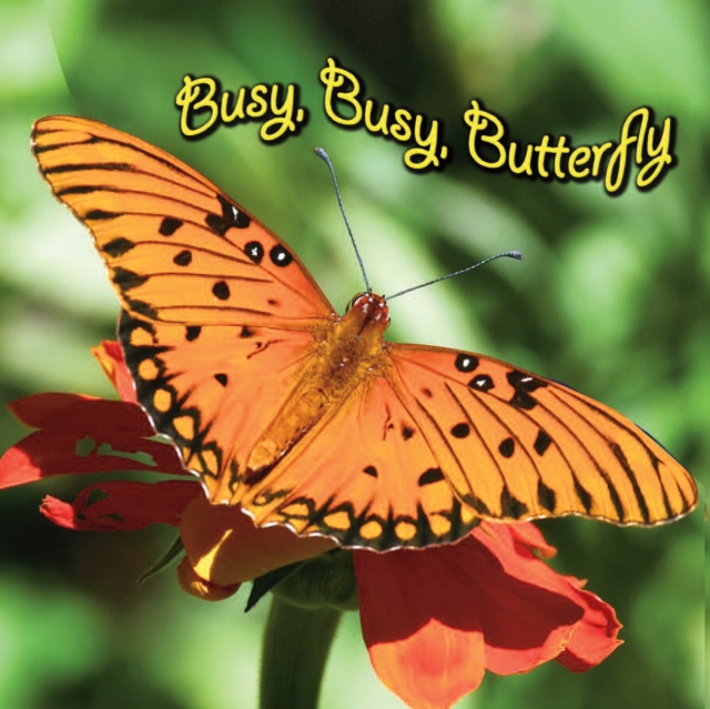 Busy, Busy Butterfly
