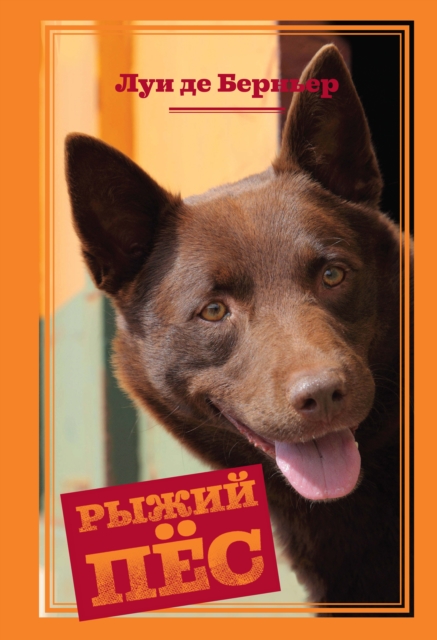 RED DOG