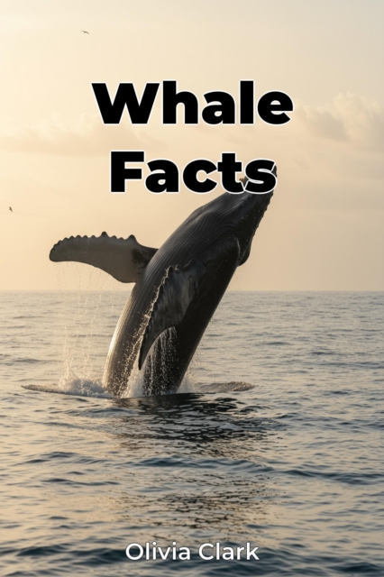 Whale Facts