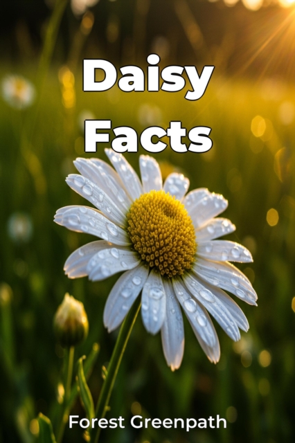 Daisy Facts