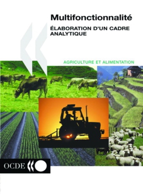 Multifonctionnalite Elaboration d'un cadre analytique