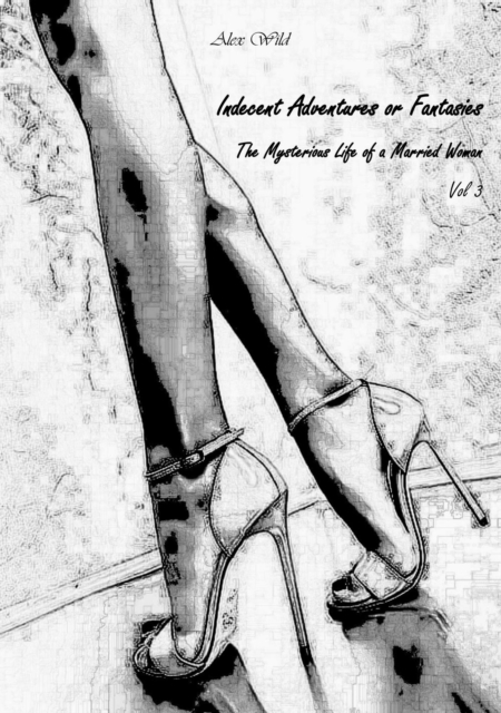 Indecent Adventures or Fantasies, Vol. 3