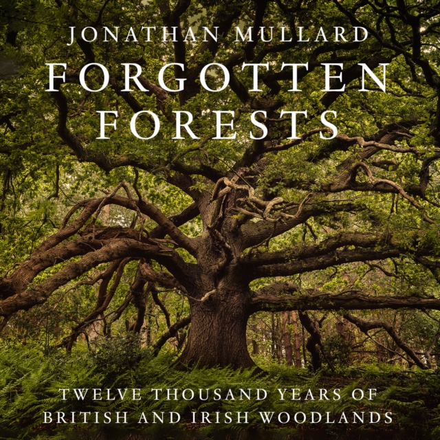 Forgotten Forests