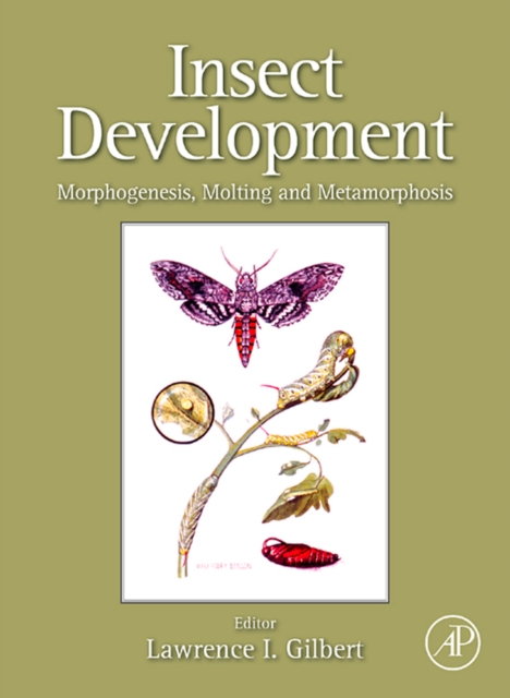 Insect Development
