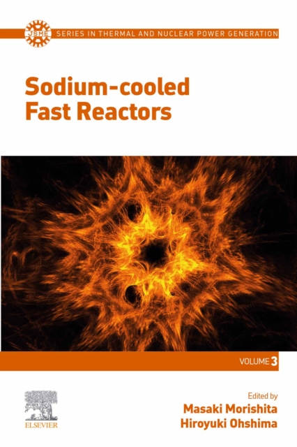 Sodium-cooled Fast Reactors