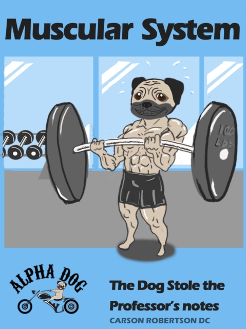 Muscular System - The Dog Stole the Professor's Notes
