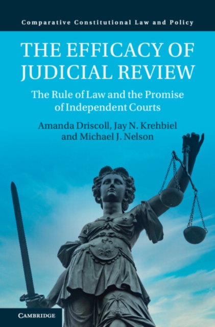 Efficacy of Judicial Review