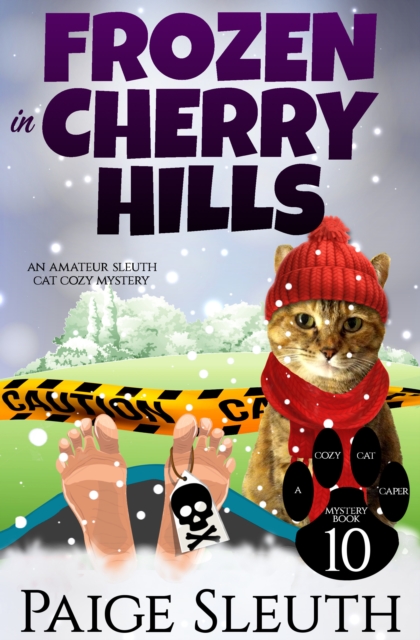 Frozen in Cherry Hills