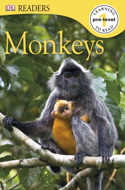 Monkeys