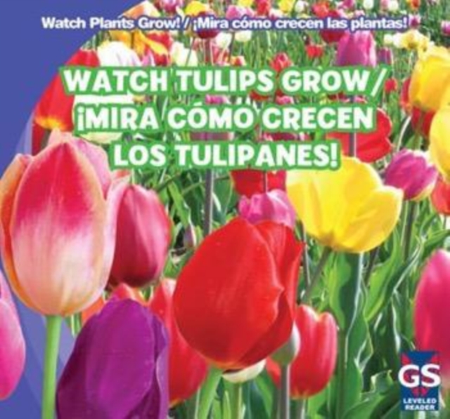 Watch Tulips Grow / !Mira como crecen los tulipanes!