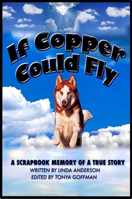If Copper Could Fly a true story