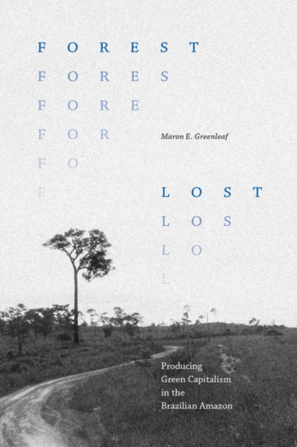 Forest Lost