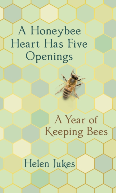 Honeybee Heart Has Five Openings