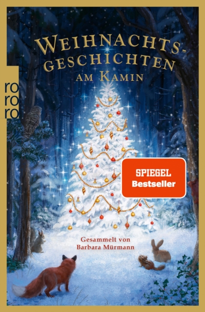 Weihnachtsgeschichten am Kamin 38