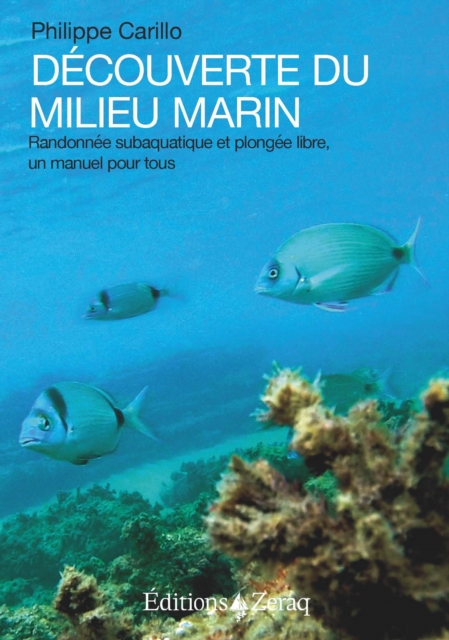 Découverte du milieu marin