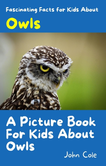 Picture Book for Kids About Owls