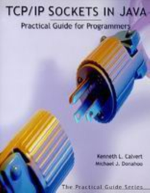 TCP/IP Sockets in Java