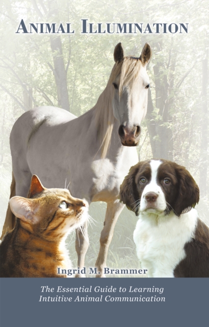 Animal Illumination