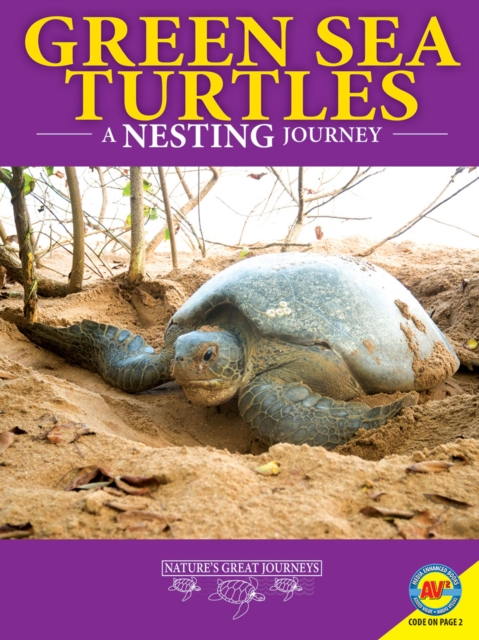 Green Sea Turtles: A Nesting Journey