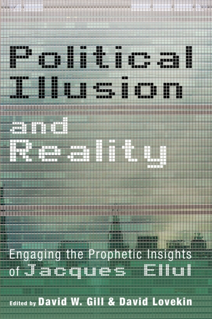 Political Illusion and Reality