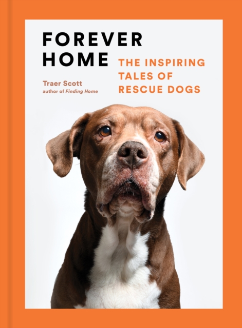 Forever Home