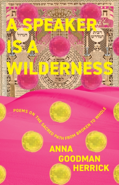 Speaker is a Wilderness