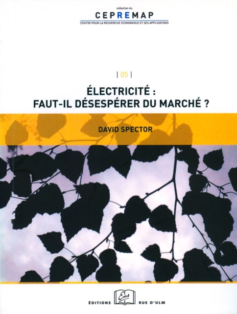 Électricité : faut-il désespérer du marché ?