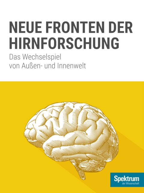 Spektrum Kompakt - Erneuerbare Energien
