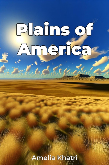 Plains of America