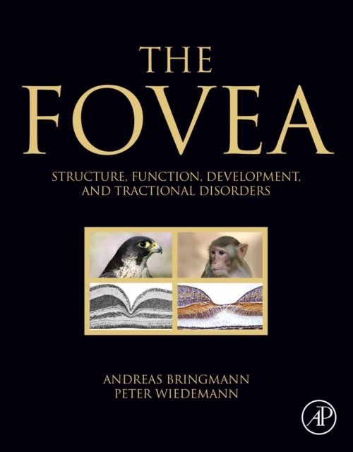 Fovea