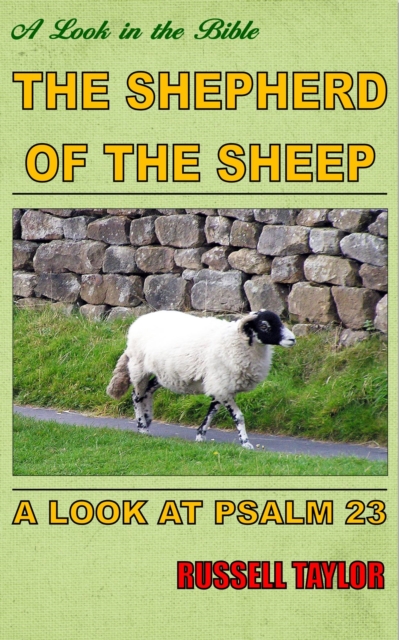 Shepherd of the Sheep