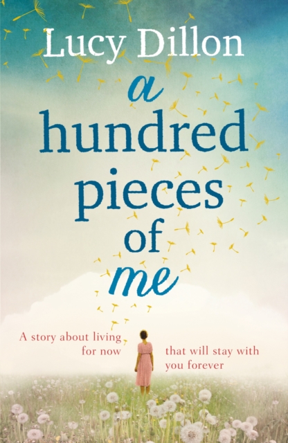 Hundred Pieces of Me