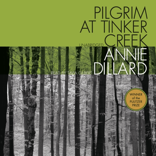 Pilgrim at Tinker Creek