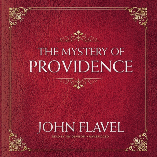 Mystery of Providence