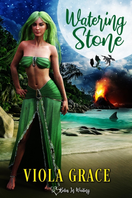 Watering Stone