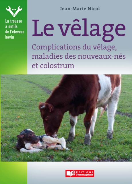 Le Vêlage