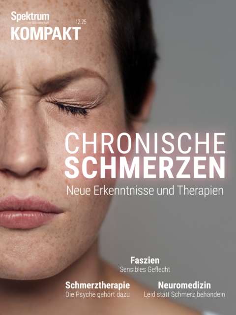 Spektrum Kompakt - Chronische Schmerzen