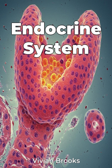 Endocrine System