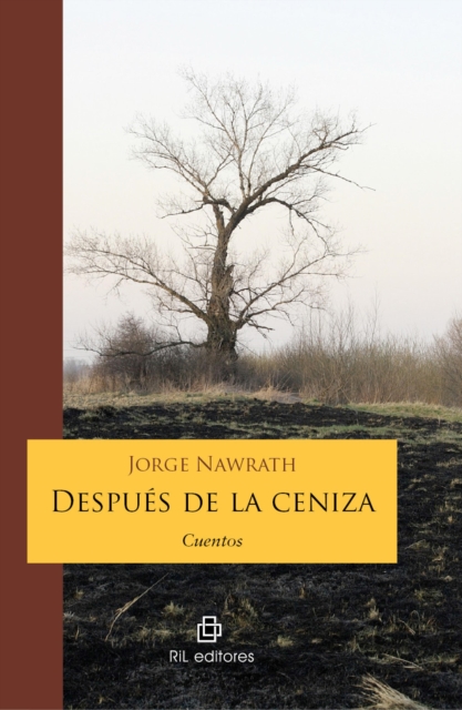 Después de la ceniza. Cuentos