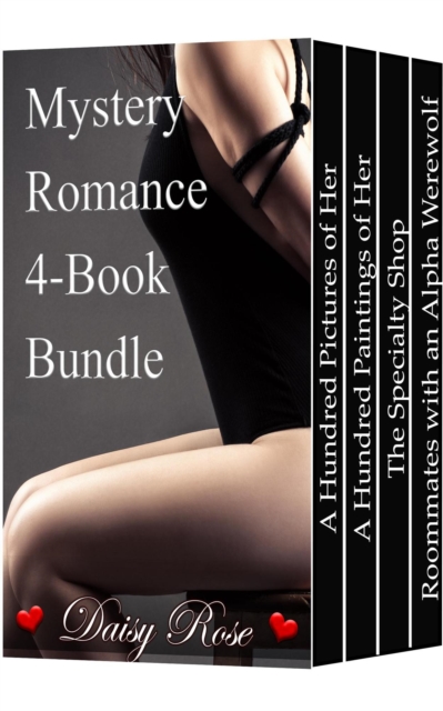 Mystery Romance 4-Book Bundle