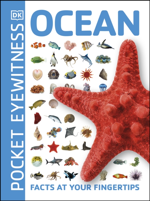 Ocean