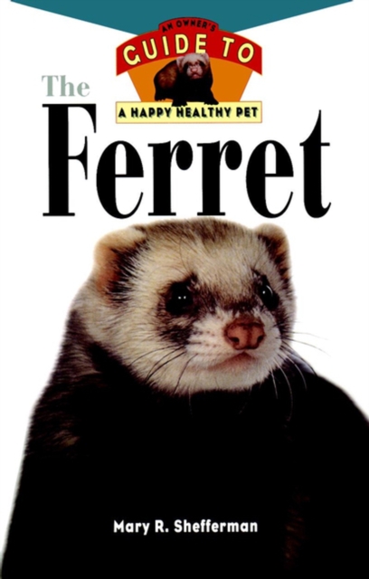 Ferret